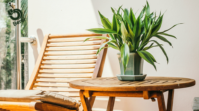 Realza la Belleza Natural de la Madera con Protección y Estilo