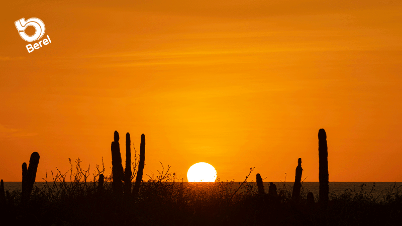  Combinación de Color Al Atardecer: Colores que Transforman tus Espacios
