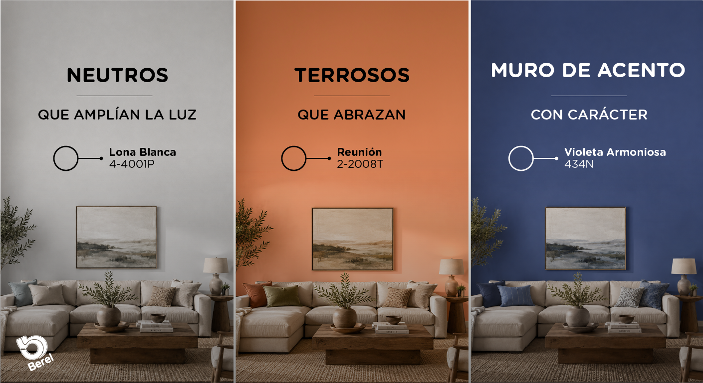Imagen del contenido