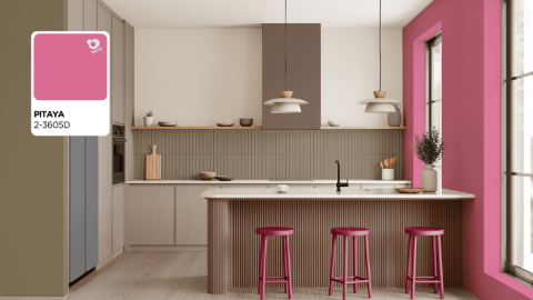 cocina paleta distrito urbaya pinturas berel